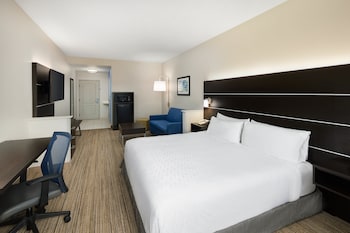 Suite, 1 King Bed with Sofa bed