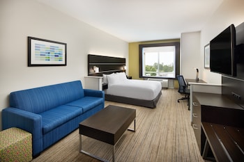 Suite, 1 King Bed with Sofa bed
