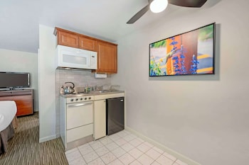 Standard Room, 2 Double Beds, Non Smoking, Kitchenette (Pet Friendly)