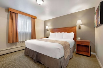 Standard Room, 1 King Bed, Non Smoking, Refrigerator (Pet Friendly)