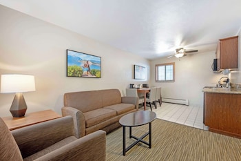 Standard Room, 1 King Bed, Non Smoking, Refrigerator (Pet Friendly)