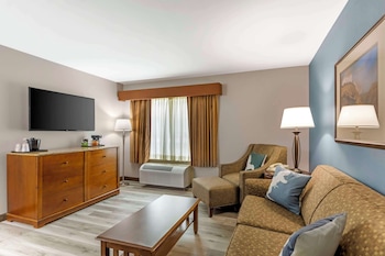 Suite, 1 King Bed with Sofa bed, Accessible, Non Smoking (with Sofabed)