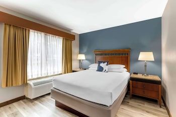 Suite, 1 King Bed with Sofa bed, Accessible, Non Smoking (with Sofabed)