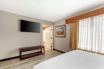 Suite, 1 King Bed with Sofa bed, Accessible, Non Smoking (with Sofabed)