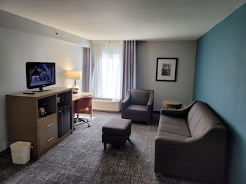 1 Bedroom Suite, 1 King Bed, Non Smoking (2 Person Sofa Bed, Upgrade)