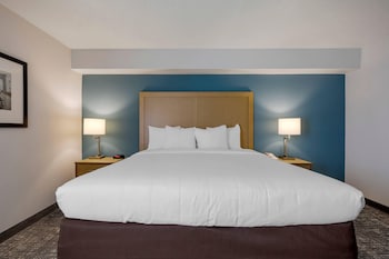 Room, 1 King Bed, Non Smoking (Roll-In Shower, Upgrade)