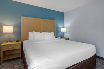 Basic Room, 1 King Bed, Non Smoking (Pet Friendly)
