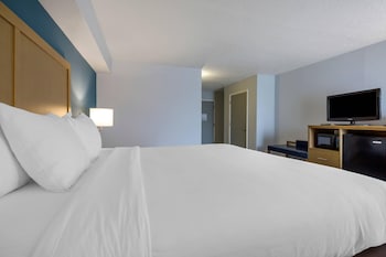 Room, 1 King Bed, Non Smoking (Roll-In Shower, Upgrade)