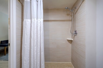 Room, 1 King Bed, Non Smoking (Roll-In Shower, Upgrade)