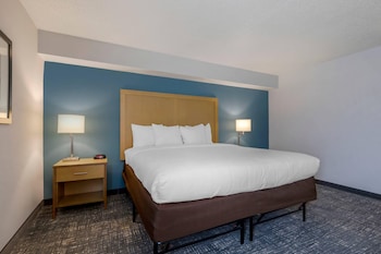 Room, 1 King Bed, Non Smoking (Roll-In Shower, Upgrade)