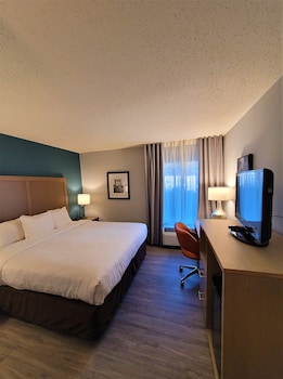 Room, 1 King Bed, Non Smoking (Efficiency, Upgrade)