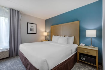 Basic Room, 1 King Bed, Non Smoking (Pet Friendly)
