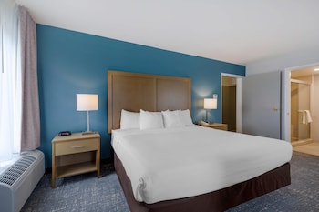 1 Bedroom Suite, 1 King Bed, Non Smoking (2 Person Sofa Bed, Upgrade)