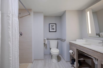 Room, 1 King Bed, Non Smoking (Roll-In Shower, Upgrade)