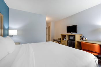 Basic Room, 1 King Bed, Non Smoking (Pet Friendly)