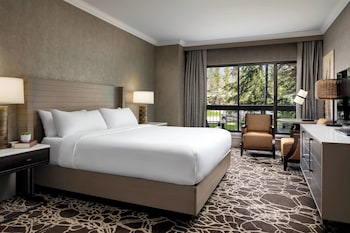 Room, 1 King Bed