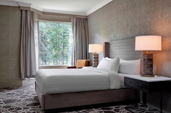 Room, 1 King Bed