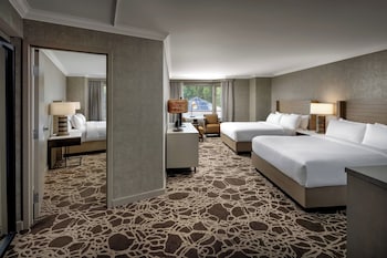 Family Room, Multiple Beds