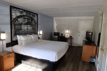 Room, 1 King Bed, Accessible, Non Smoking (Tub with Grab Bars)