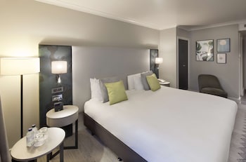 Room, 1 King Bed