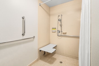 Standard Room, 1 King Bed, Accessible (Comm, Mobil, Roll In Shwr)