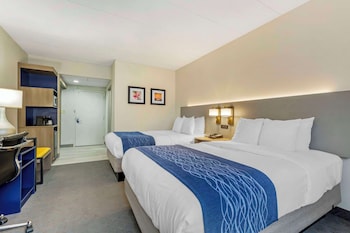Standard Double Room, 2 Double Beds, Non Smoking