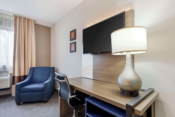 Standard Double Room, 2 Double Beds, Non Smoking
