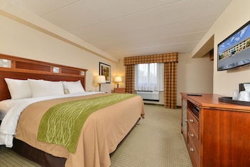 Standard Room, 1 King Bed, Non Smoking