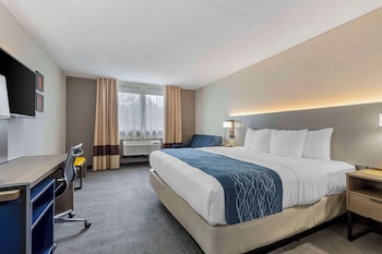 Room, 1 King Bed, Accessible, Non Smoking