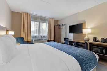 Room, 1 King Bed, Accessible, Non Smoking