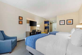 Standard Double Room, 2 Double Beds, Non Smoking