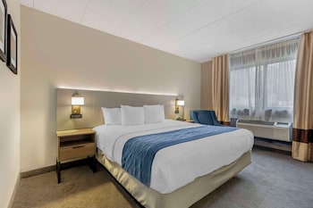 Room, 1 King Bed, Accessible, Non Smoking