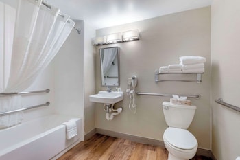 Room, 1 King Bed, Accessible, Non Smoking