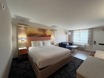 Standard Room, 1 King Bed, Non Smoking