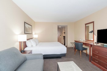 Standard Room, 1 King Bed with Sofa bed
