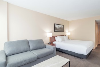 Standard Room, 1 King Bed with Sofa bed