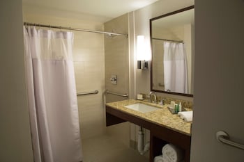Room, 1 King Bed (Roll-In Shower)
