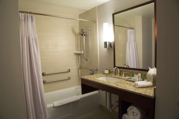 Room, 1 King Bed, Bathtub