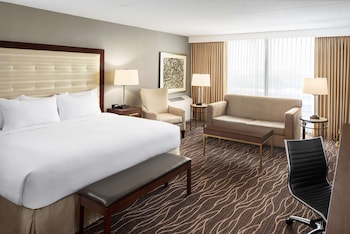 Deluxe, Larger Room,1 King w/ Sofa Bed