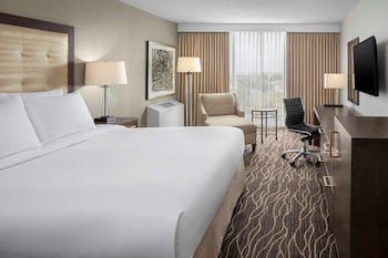 Room, 1 King Bed (Roll-In Shower)