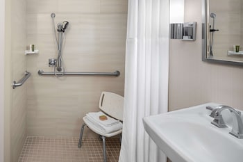Room, 1 King Bed (Roll-In Shower)