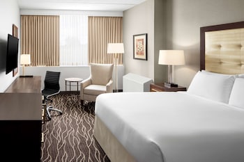 Room, 1 Queen Bed, Accessible (Roll-In Shower)