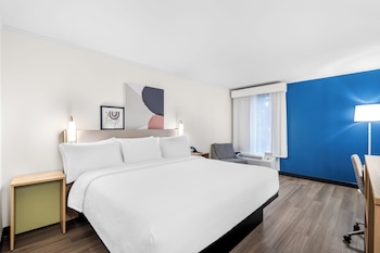 Room, 1 King Bed
