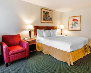 Standard Room, 1 King Bed, Non Smoking
