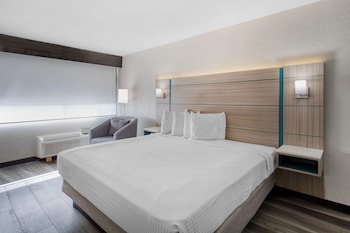 Standard Room, 1 King Bed, Non Smoking, Refrigerator