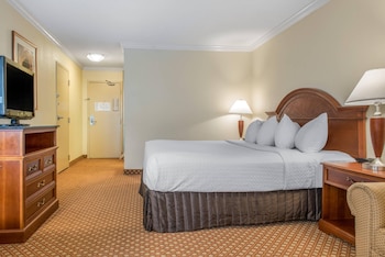 Room, 1 King Bed, Non Smoking