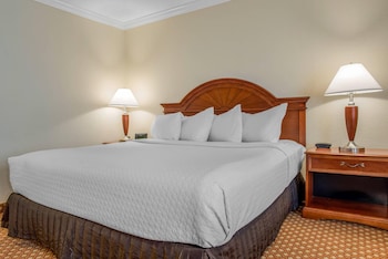 Room, 1 King Bed, Non Smoking