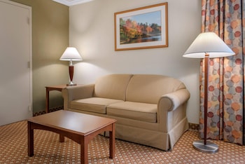 Suite, 1 King Bed with Sofa bed, Accessible, Non Smoking