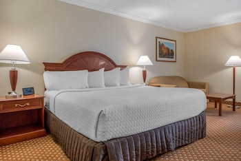 Room, 1 King Bed, Non Smoking