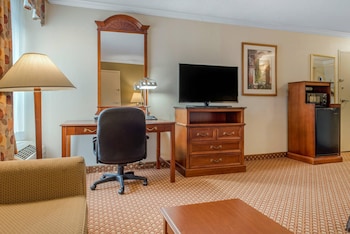 Suite, 1 King Bed with Sofa bed, Accessible, Non Smoking